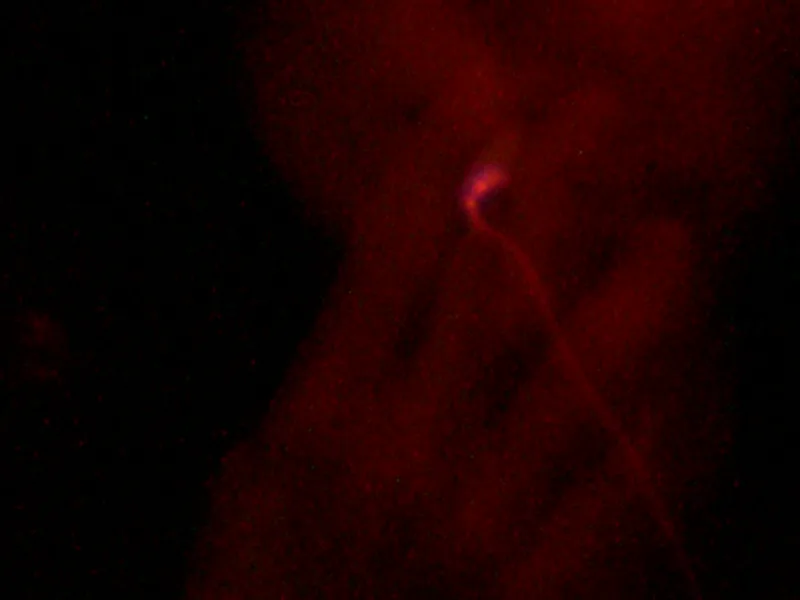 DSCN1492.JPG