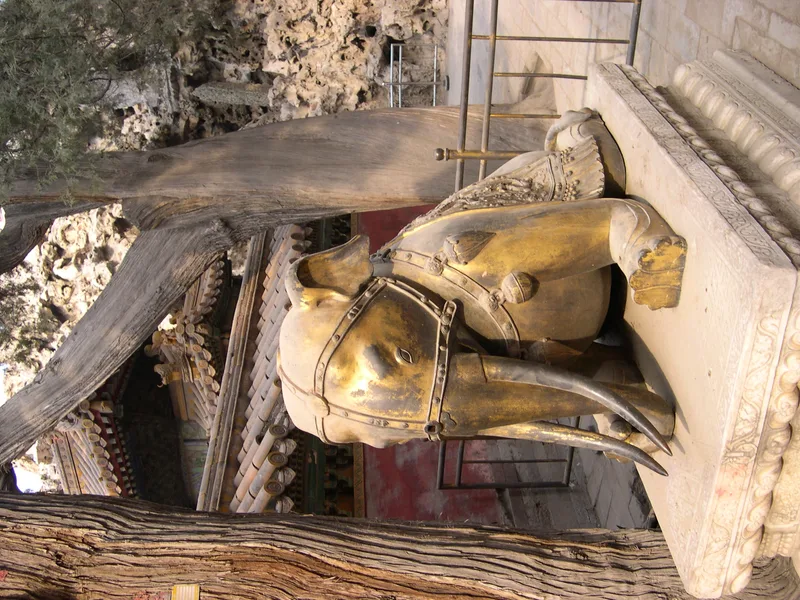 DSCN1096.JPG