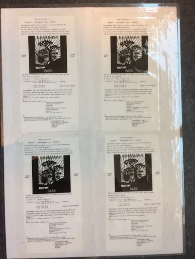 Vinyl flyer.jpg