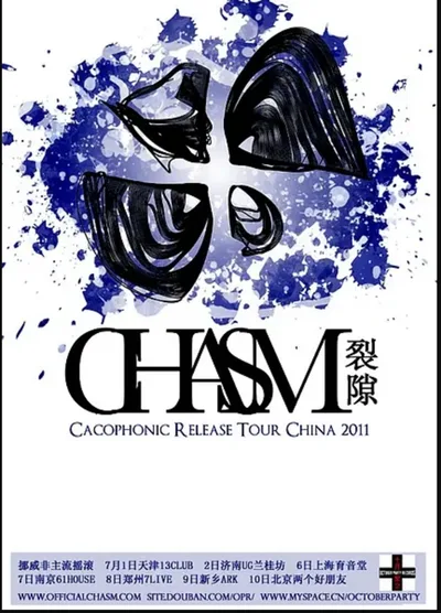 Chasm 2011.jpg