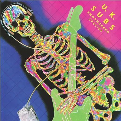 UK SUBS.jpg